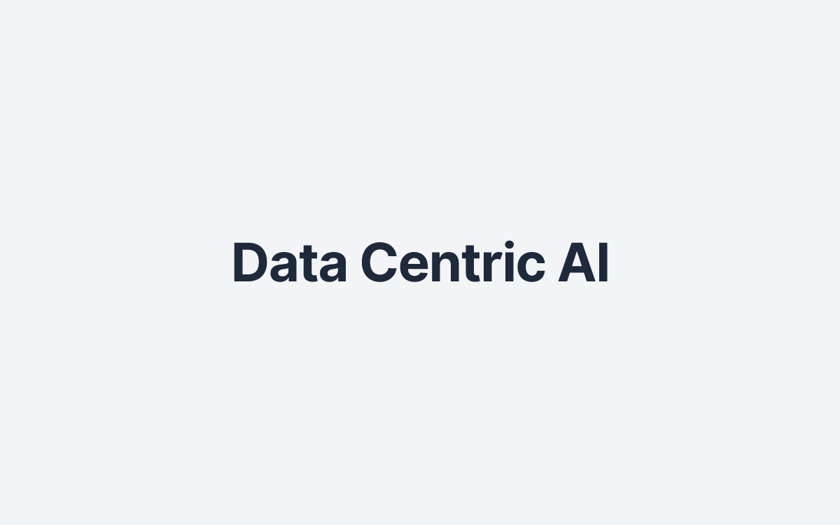 Data Centric AI